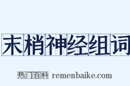 末梢神经组词是什么意思的图片